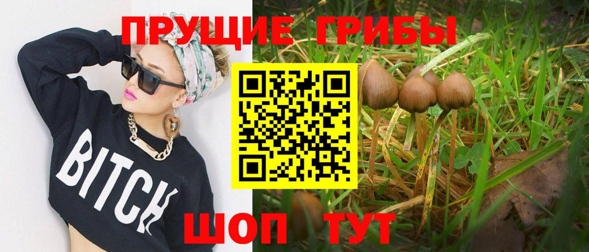 Галлюциногенные грибы MAGIC MUSHROOMS  Вход с VPN  Можга 