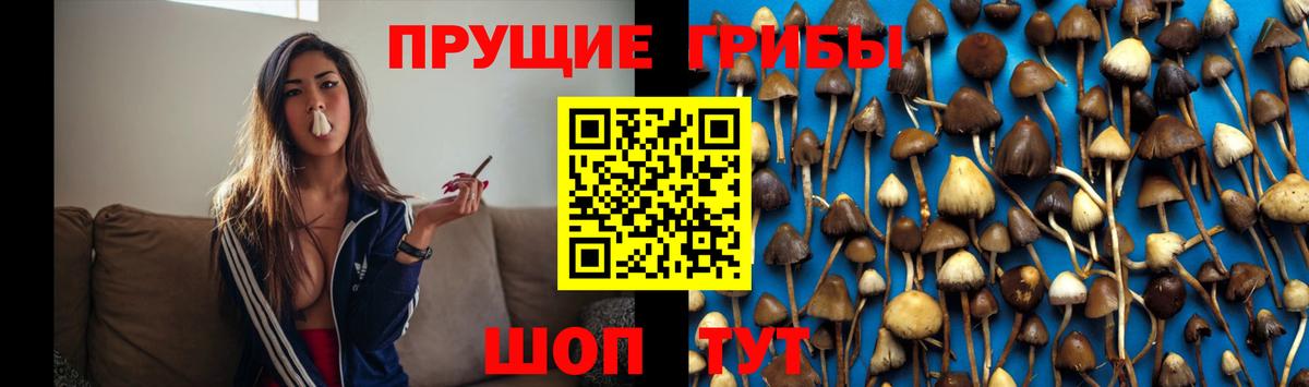 Галлюциногенные грибы Magic Shrooms Можга