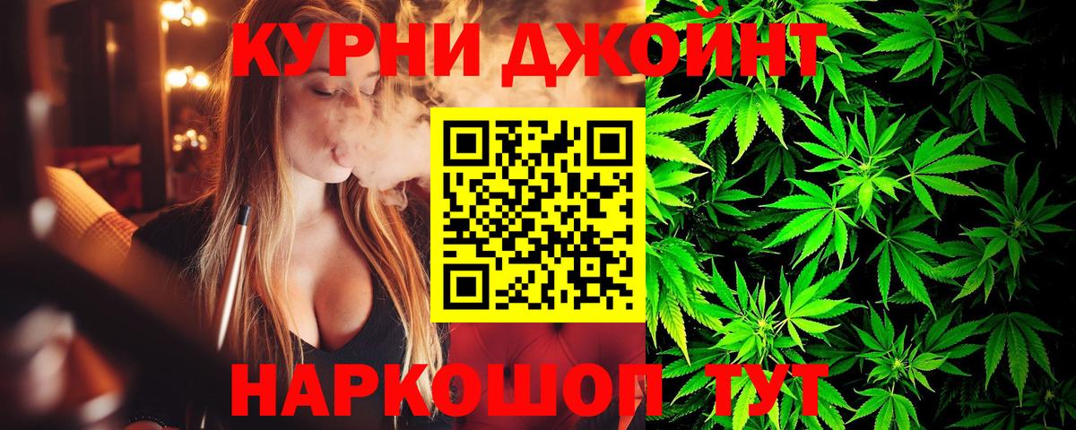 Марихуана сатива Можга
